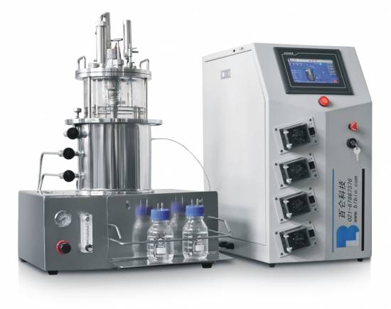 Magnetic agitation glass bioreactor(in site)
