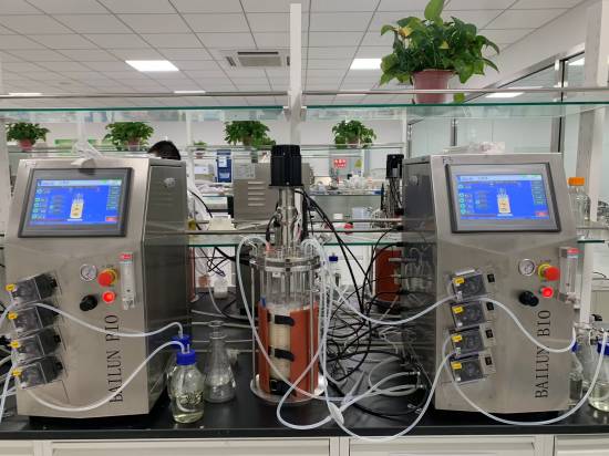 Single glass bioreactor off-situ