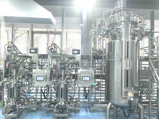 Explosion Proof Fermentation Bioreactor