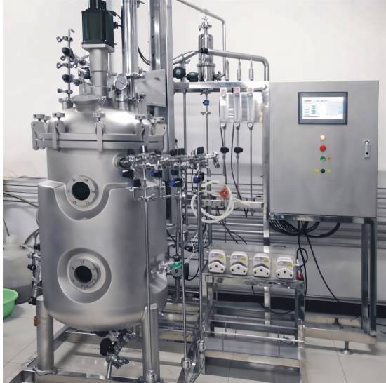 Animal cell bioreactor 300L