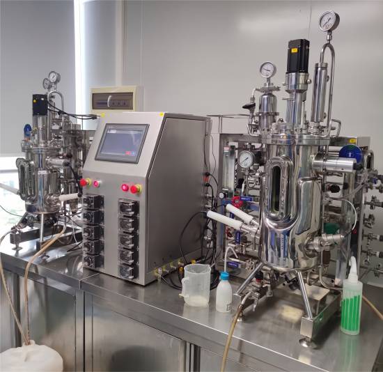 Bivalent  Dual-Stage Fermenter