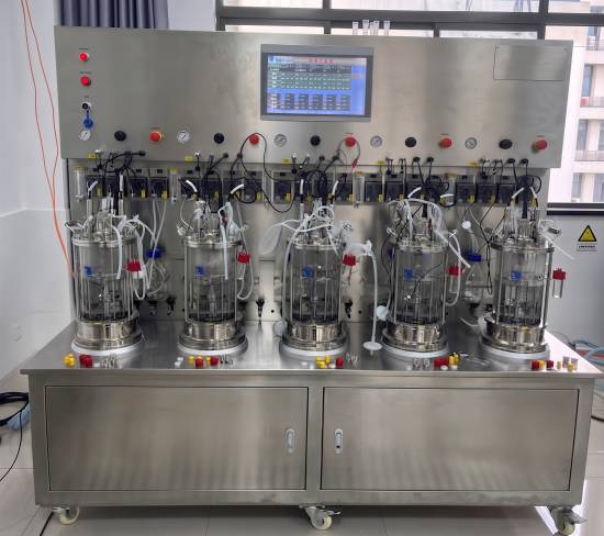 5  mechanical agitation glass bioreactor(off site)
