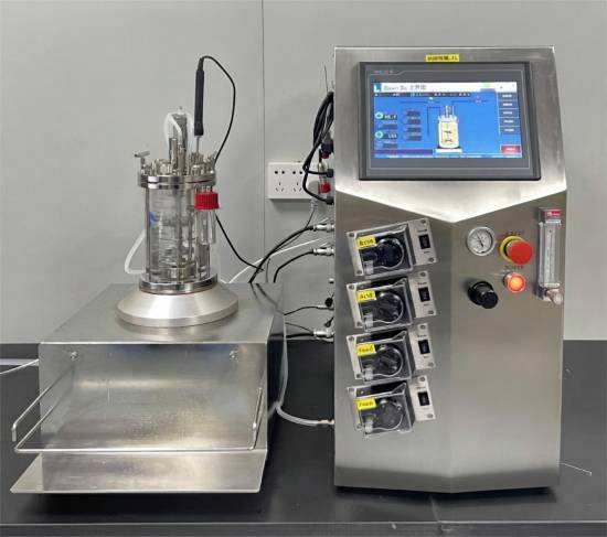 Magnetic stirrer glass fermenter
