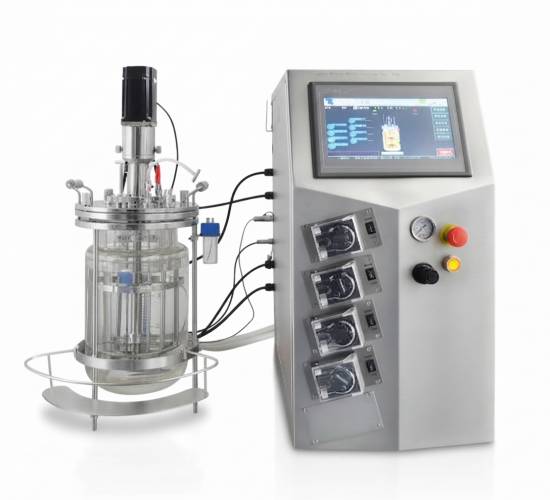 Double glass bioreactor off situ