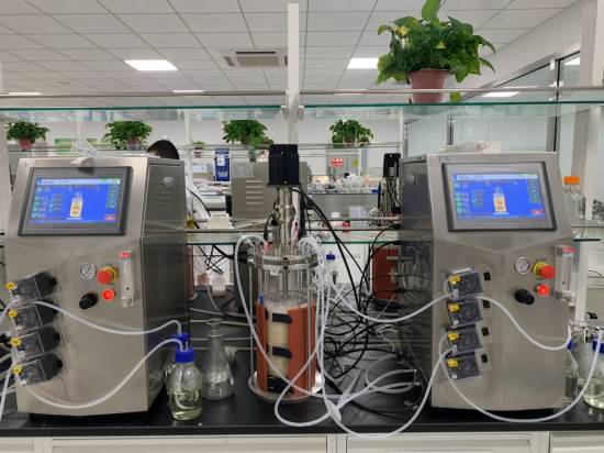 Single glass bioreactor off-situ